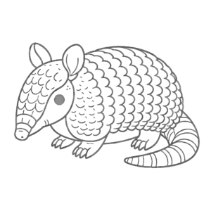 armadillo coloring pages animal free coloring pages