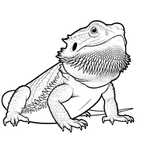 bearded dragon coloring pages dragon animal coloring pages free coloring pages