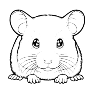 Hamster coloring pages Hamsters coloring pages Hamster coloring sheet Hamster coloring sheets baby Hamster free coloring pages Hamster animal coloring pages Hamster coloring page Hamster coloring pages Hamsters free coloring pages cute Hamster coloring pages cutest Hamster coloring pages coloring pages gem