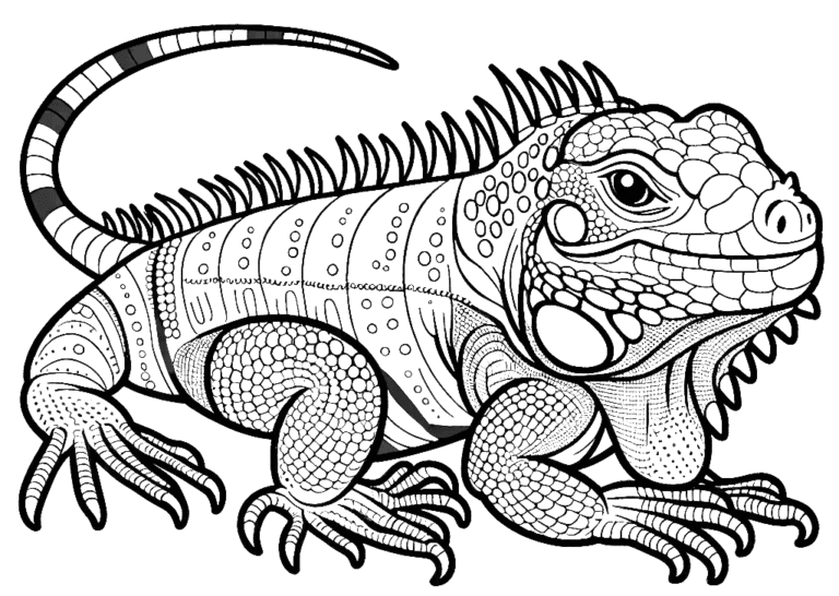 Iguana Coloring Pages - Coloring Pages Gem