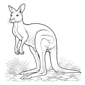 Kangaroo coloring pages Kangaroos coloring pages Kangaroo coloring sheet Kangaroo coloring sheets baby Kangaroo free coloring pages Kangaroo animal coloring pages Kangaroo coloring page Kangaroo coloring pages Kangaroos free coloring pages cute Kangaroo coloring pages cutest Kangaroo coloring pages coloring pages gem