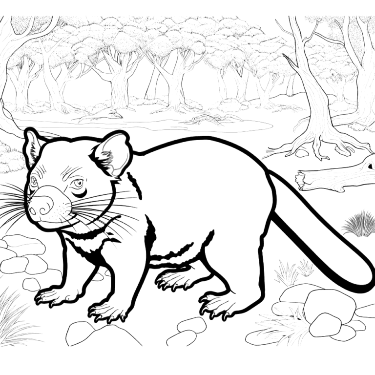 Tasmanian Devil Coloring Pages 31 - Coloring Pages Gem