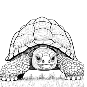 Tortoise coloring pages turtle coloring pages galapagos tortoise coloring pages coloring pages Tortoise coloring pages turtle coloring pages galapagos tortoise coloring pagess coloring pages Tortoise coloring pages turtle coloring pages galapagos tortoise coloring pages coloring sheet Tortoise coloring pages turtle coloring pages galapagos tortoise coloring pages coloring sheets baby Tortoise coloring pages turtle coloring pages galapagos tortoise coloring pages free coloring pages Tortoise coloring pages turtle coloring pages galapagos tortoise coloring pages animal coloring pages Tortoise coloring pages turtle coloring pages galapagos tortoise coloring pages coloring page Tortoise coloring pages turtle coloring pages galapagos tortoise coloring pages coloring pages Tortoise coloring pages turtle coloring pages galapagos tortoise coloring pagess free coloring pages cute Tortoise coloring pages turtle coloring pages galapagos tortoise coloring pages coloring pages cutest Tortoise coloring pages turtle coloring pages galapagos tortoise coloring pages coloring pages coloring pages gem