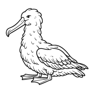 albatross-coloring-pages